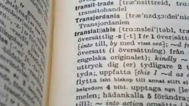Schwedische Sprache