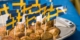 Schwedisches Mittagessen